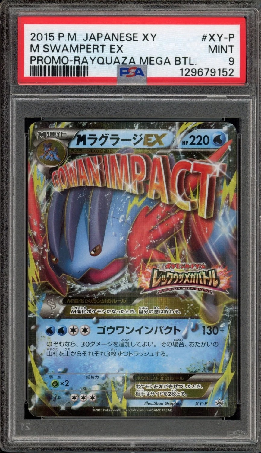 M Swampert EX