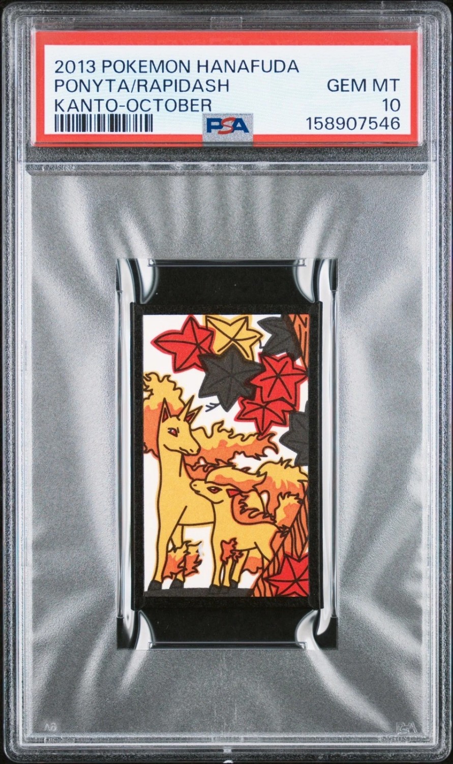 Ponyta/Rapidash