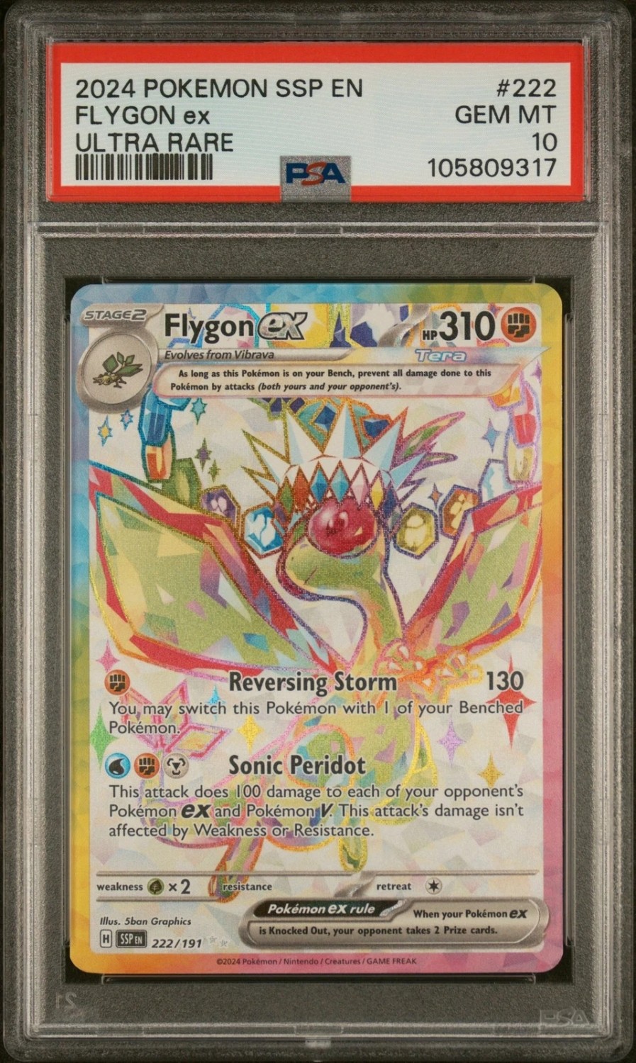 FLYGON ex
