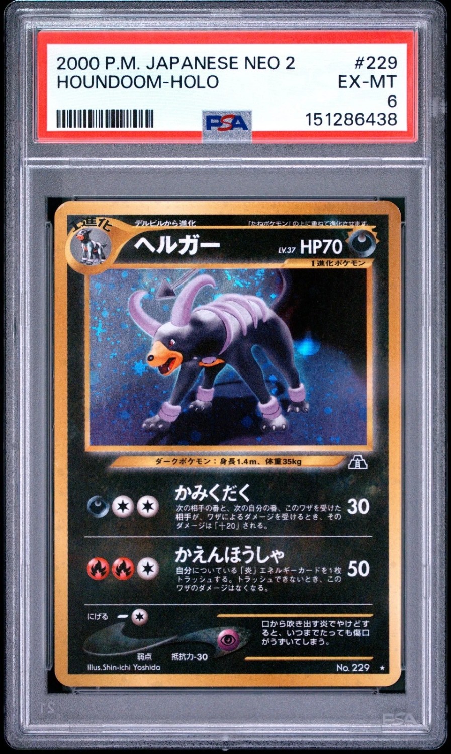 Houndoom