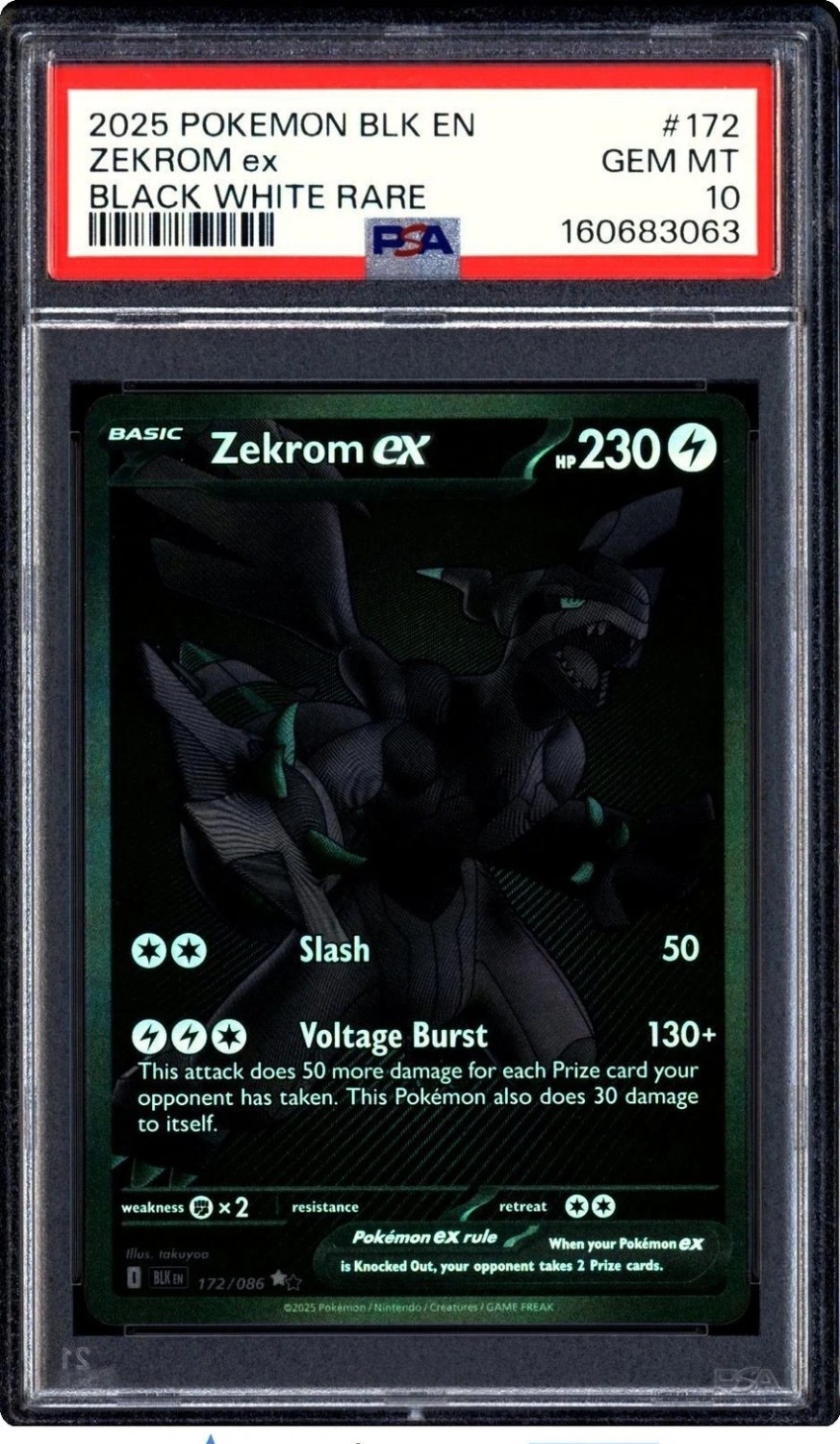 ZEKROM ex
