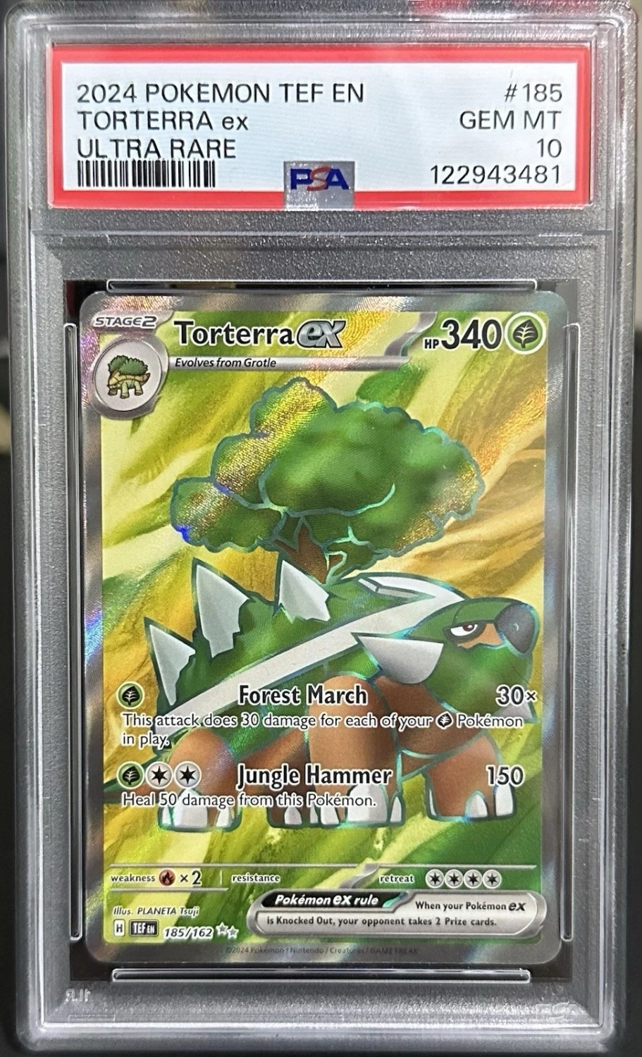 TORTERRA ex
