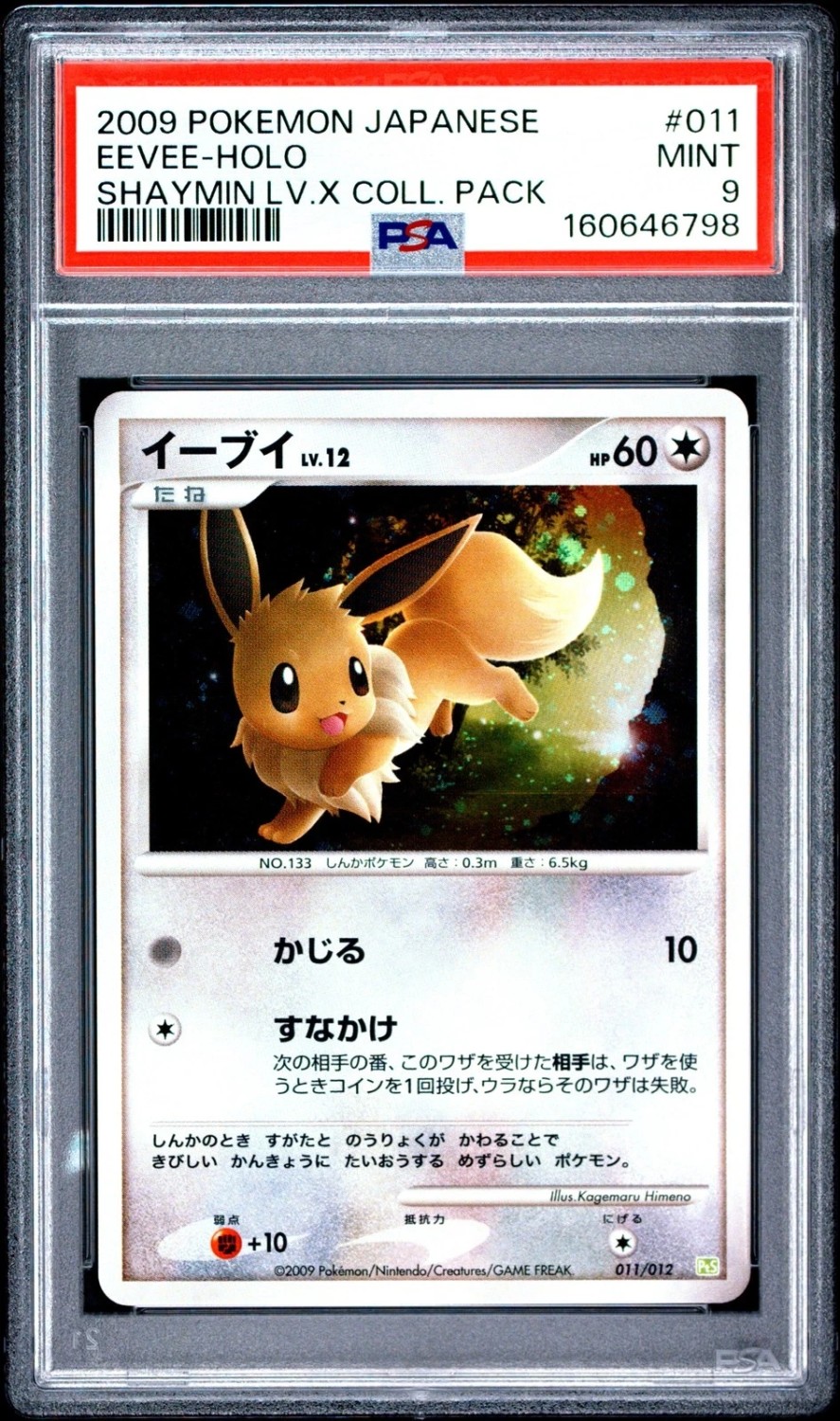 Eevee