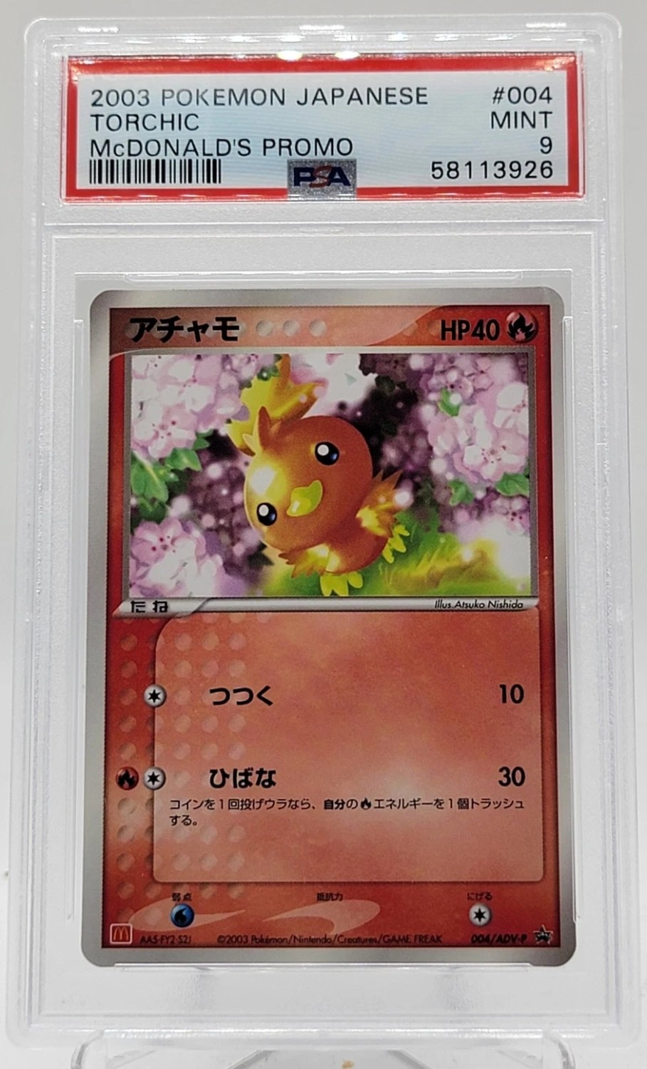 Torchic