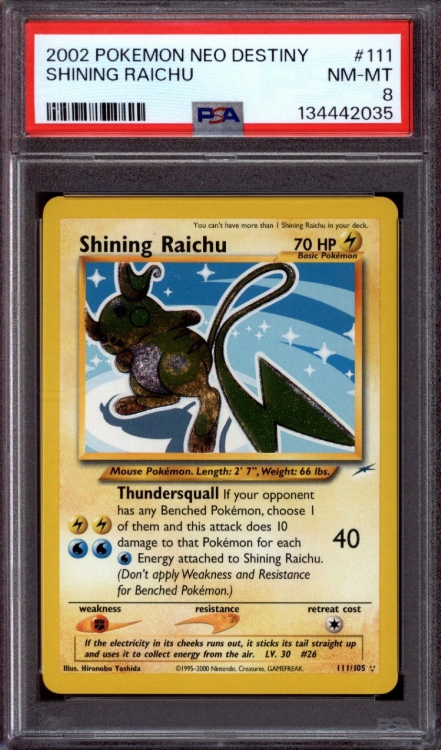 Shining Raichu