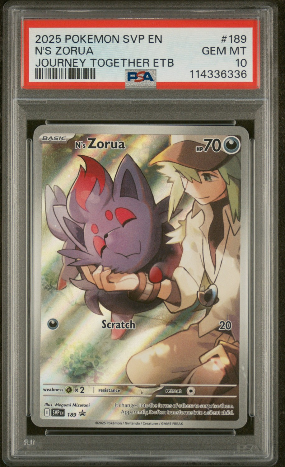 N'S ZORUA