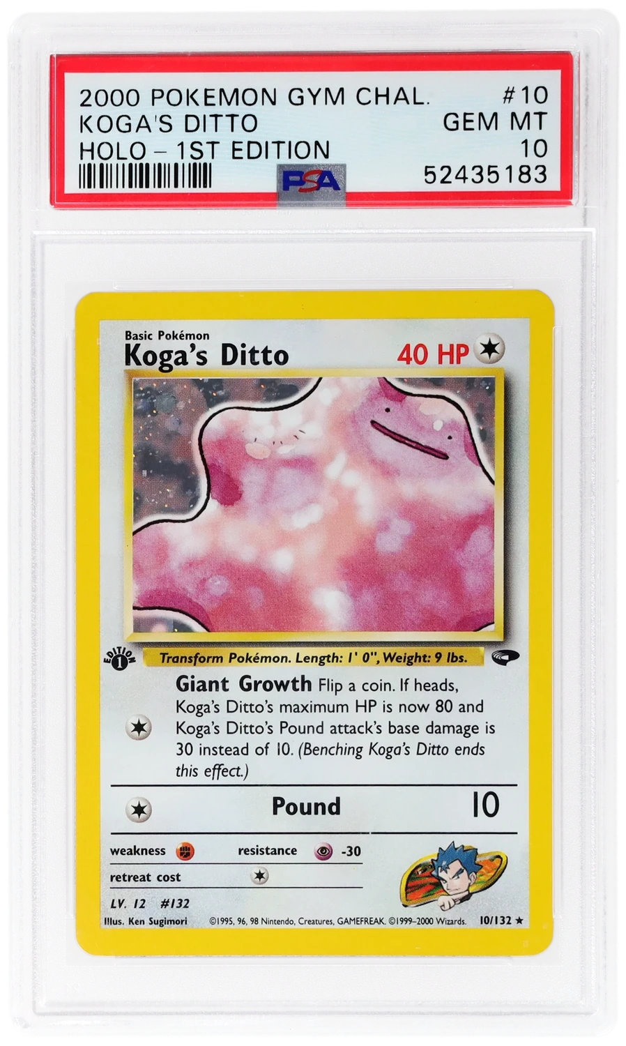 Koga's Ditto