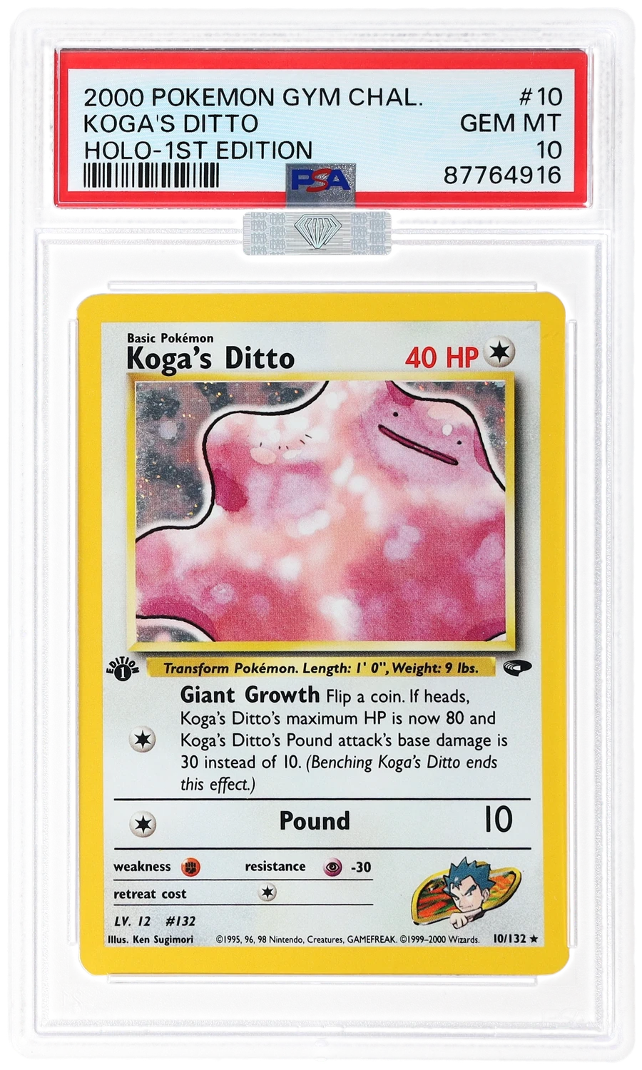 Koga's Ditto