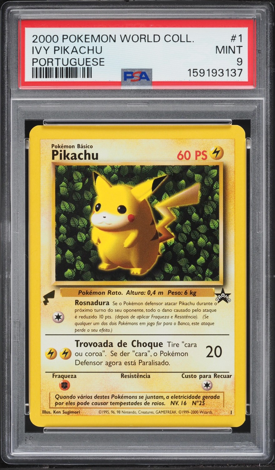 Ivy Pikachu