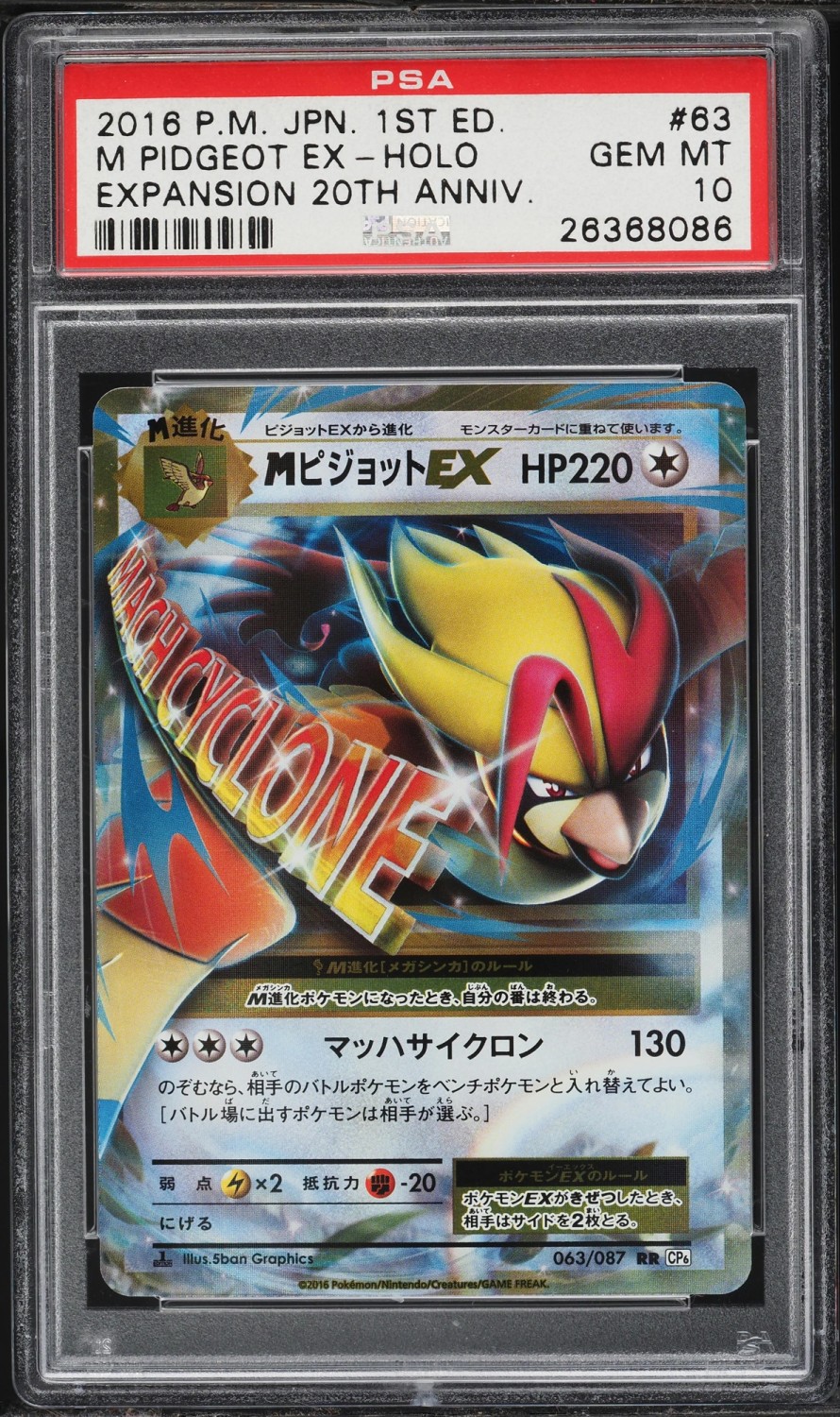 M Pidgeot EX