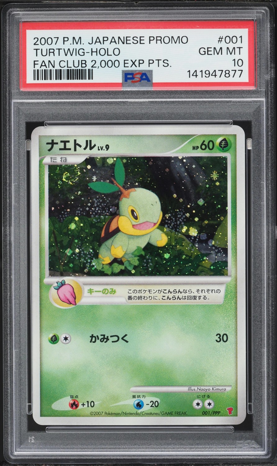 Turtwig