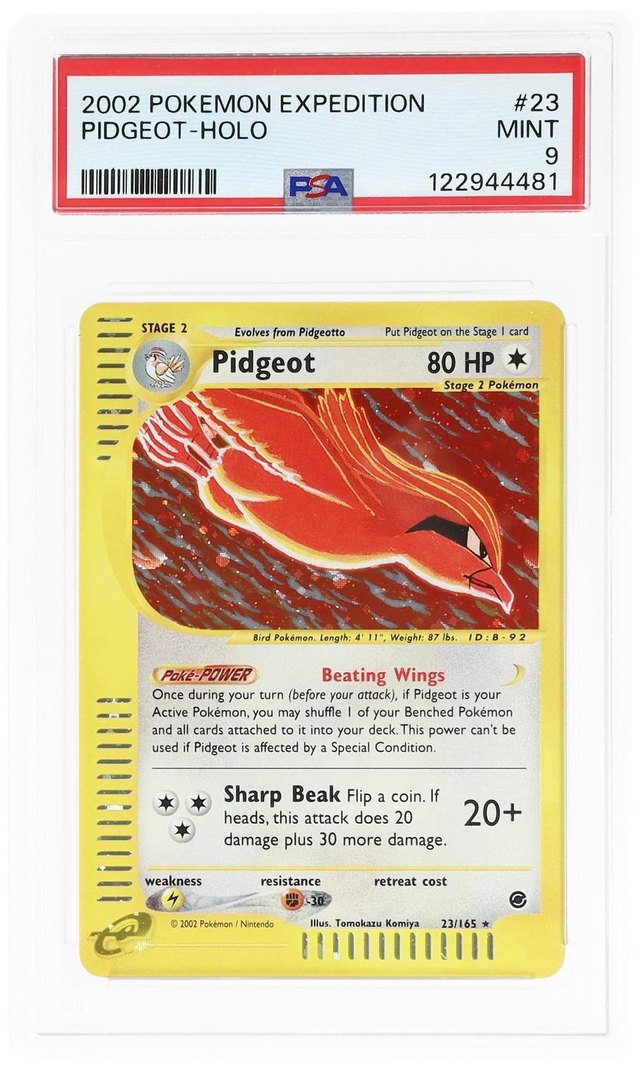 Pidgeot