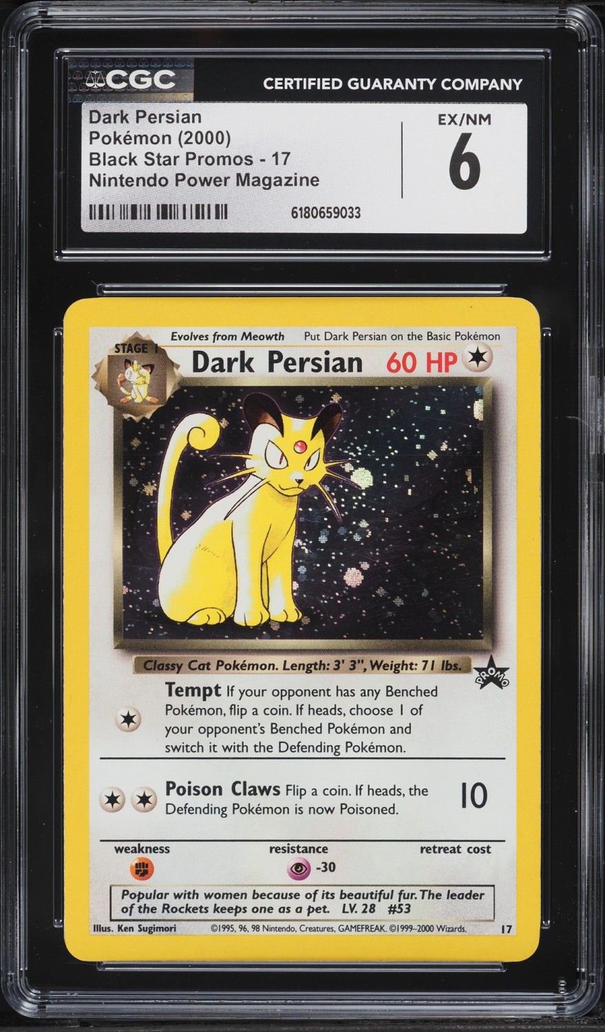 Dark Persian