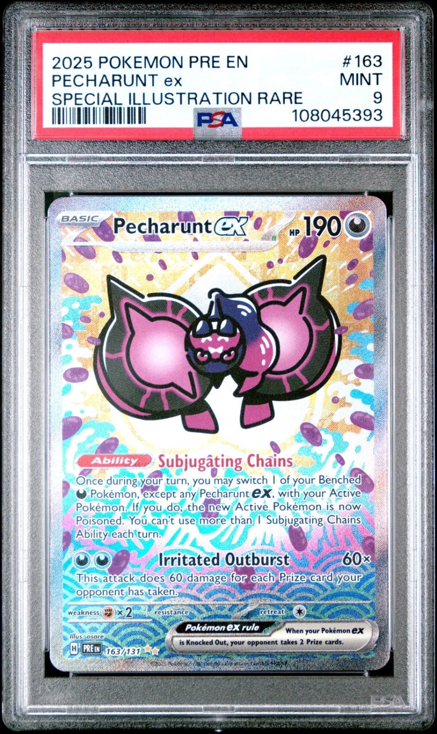 PECHARUNT ex