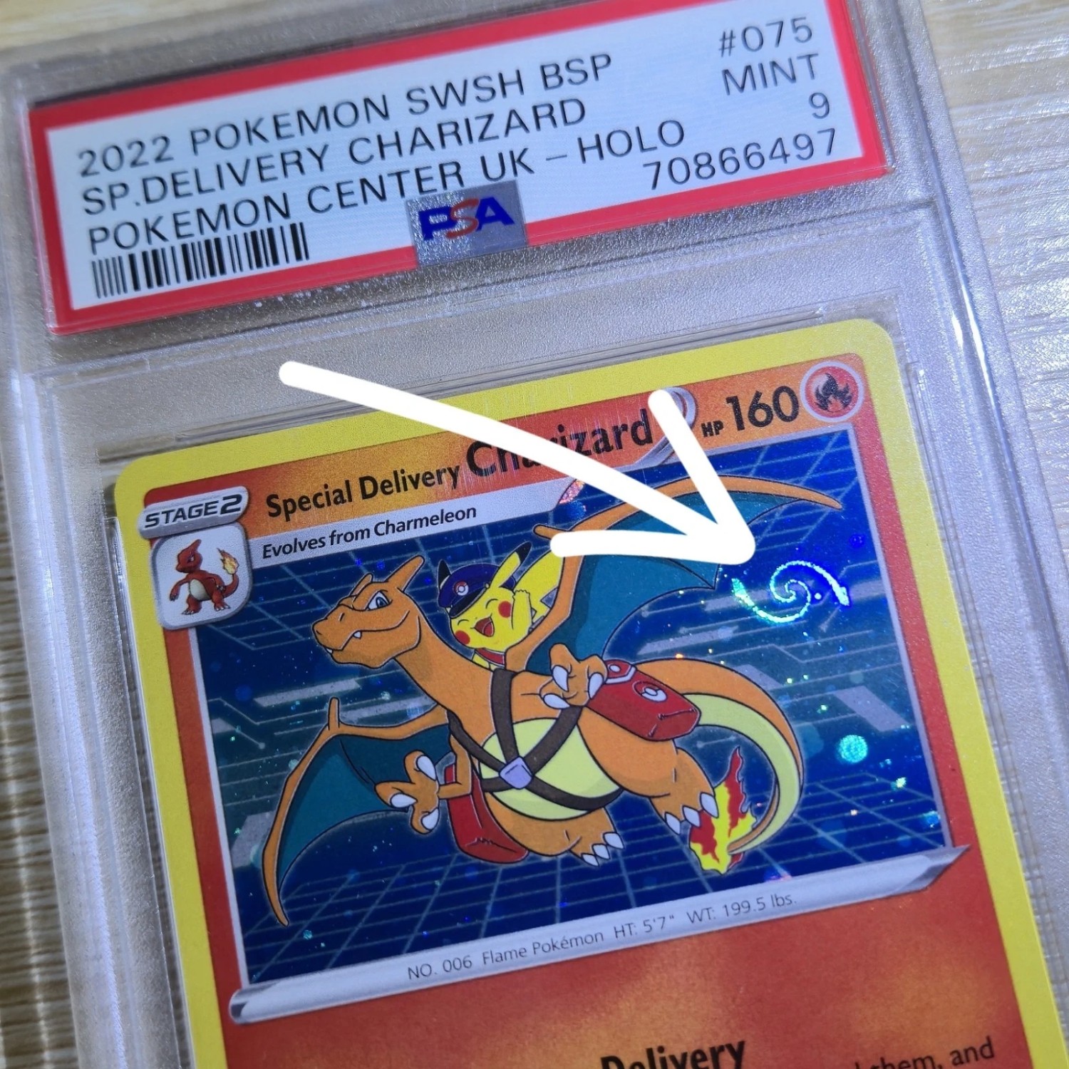 Special Delivery Charizard