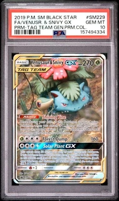 Venusaur & Snivy GX