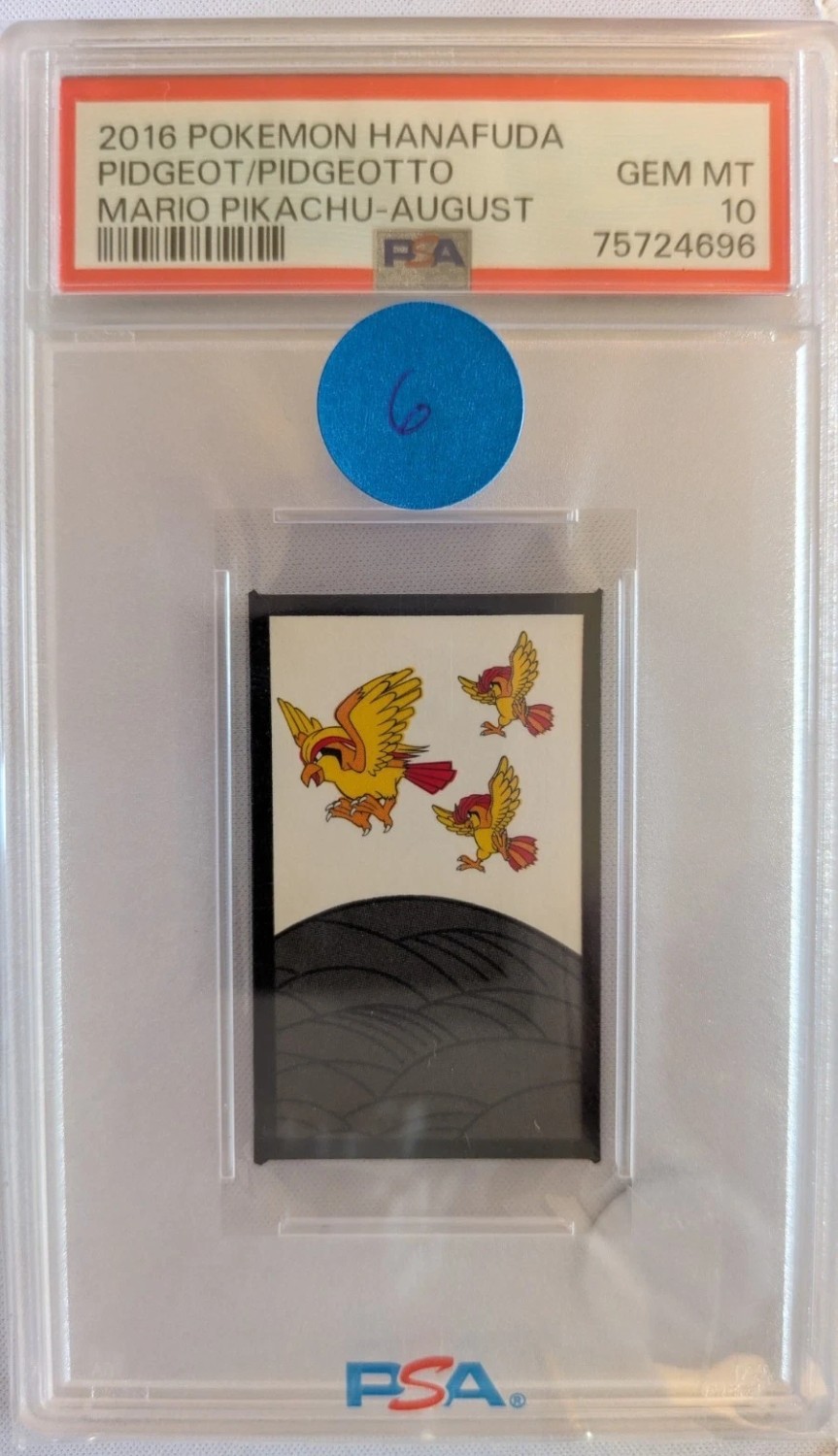 Pidgeot/Pidgeotto
