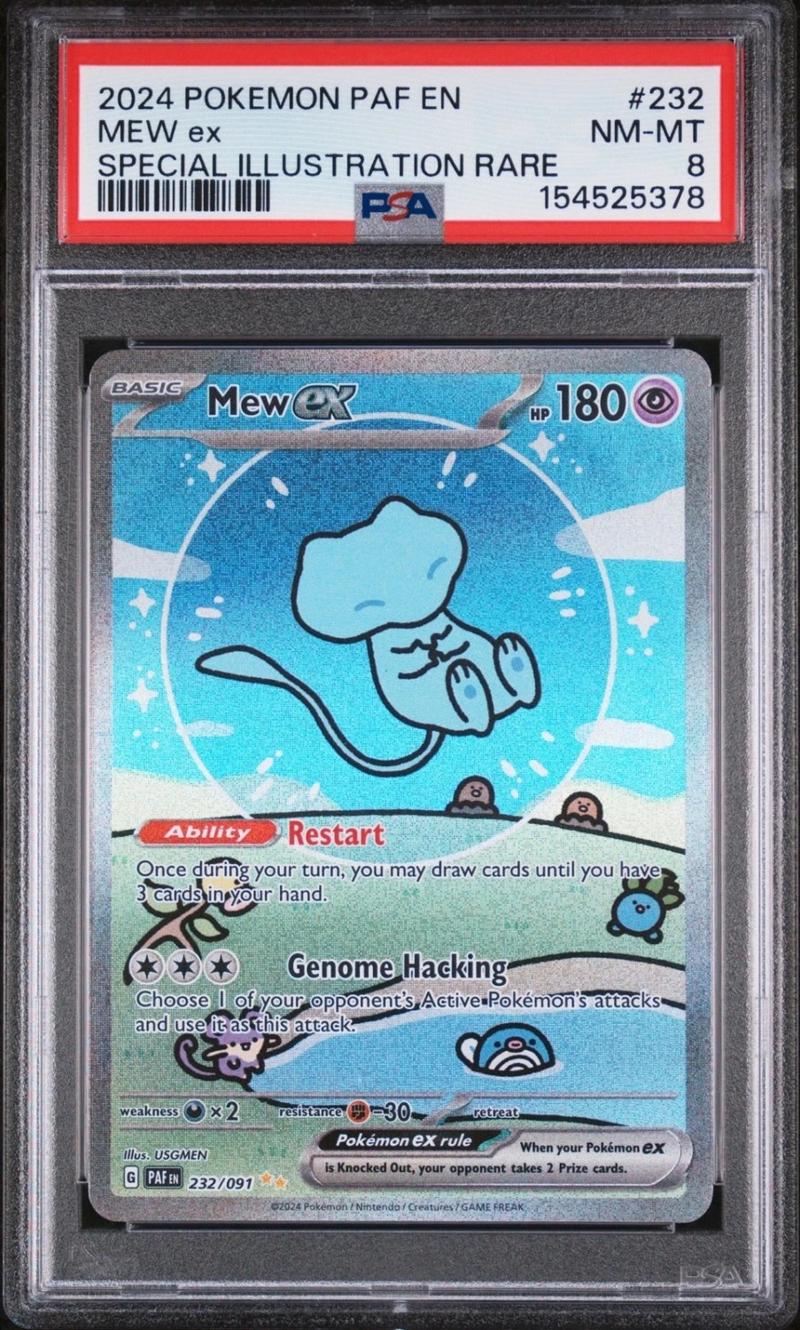 MEW ex