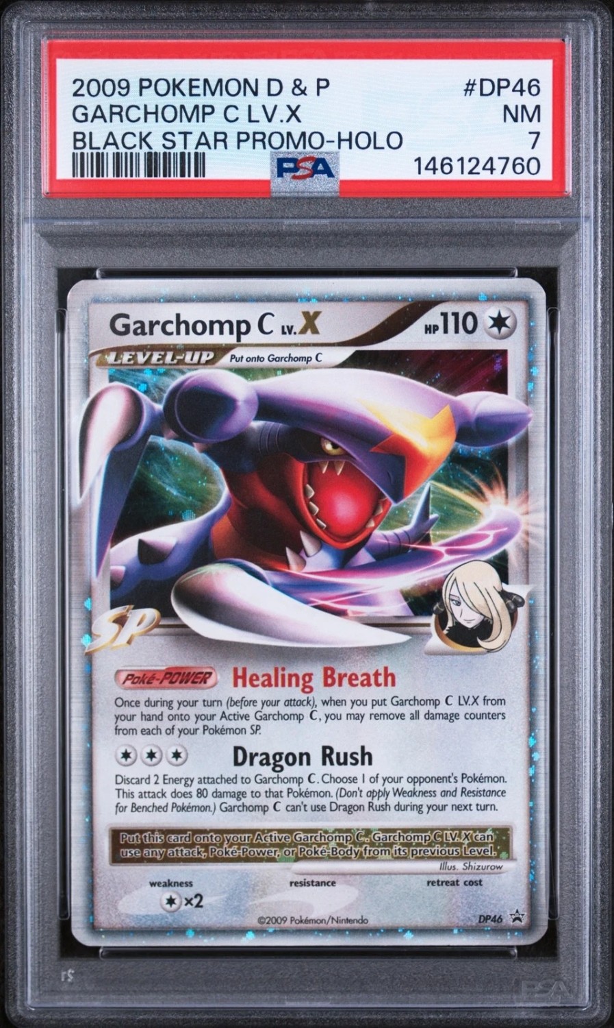 GARCHOMP C LV.X