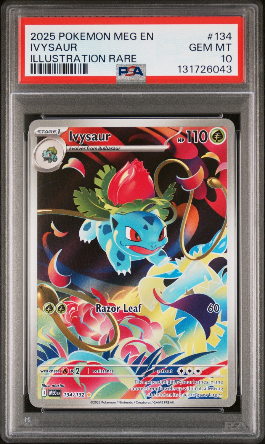 IVYSAUR