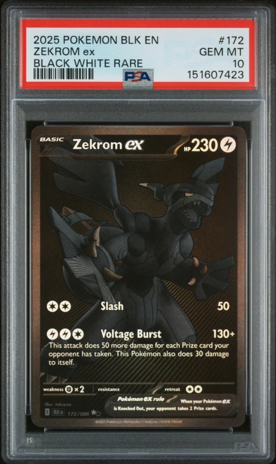 ZEKROM ex