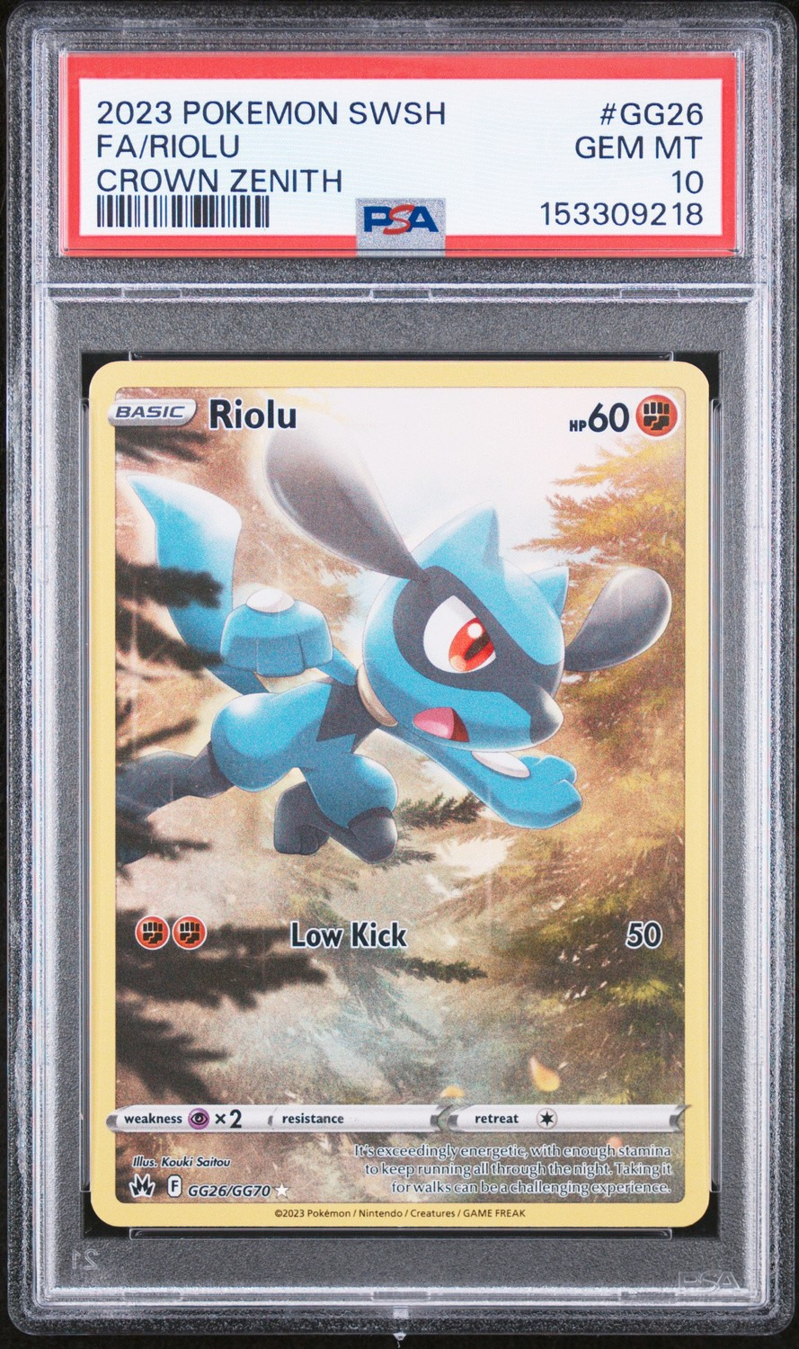 Riolu