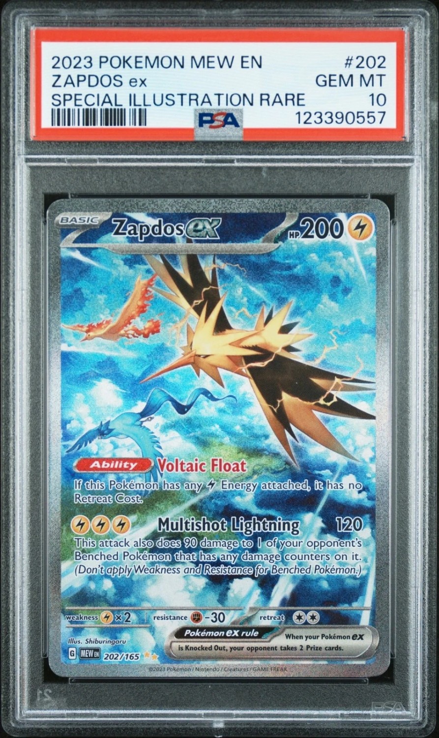 ZAPDOS ex