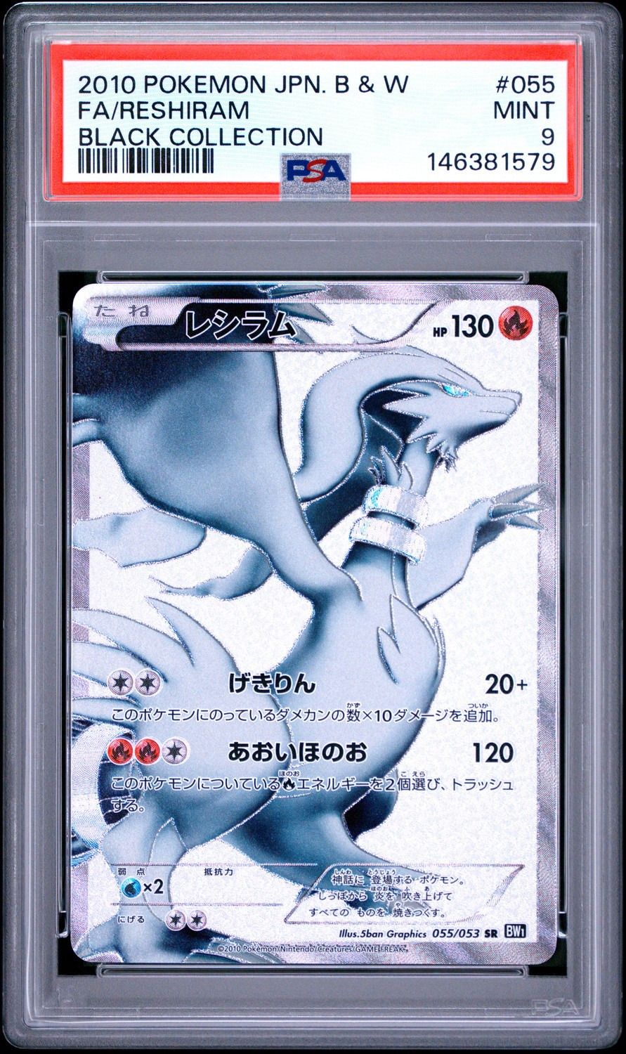 Holo · Collection