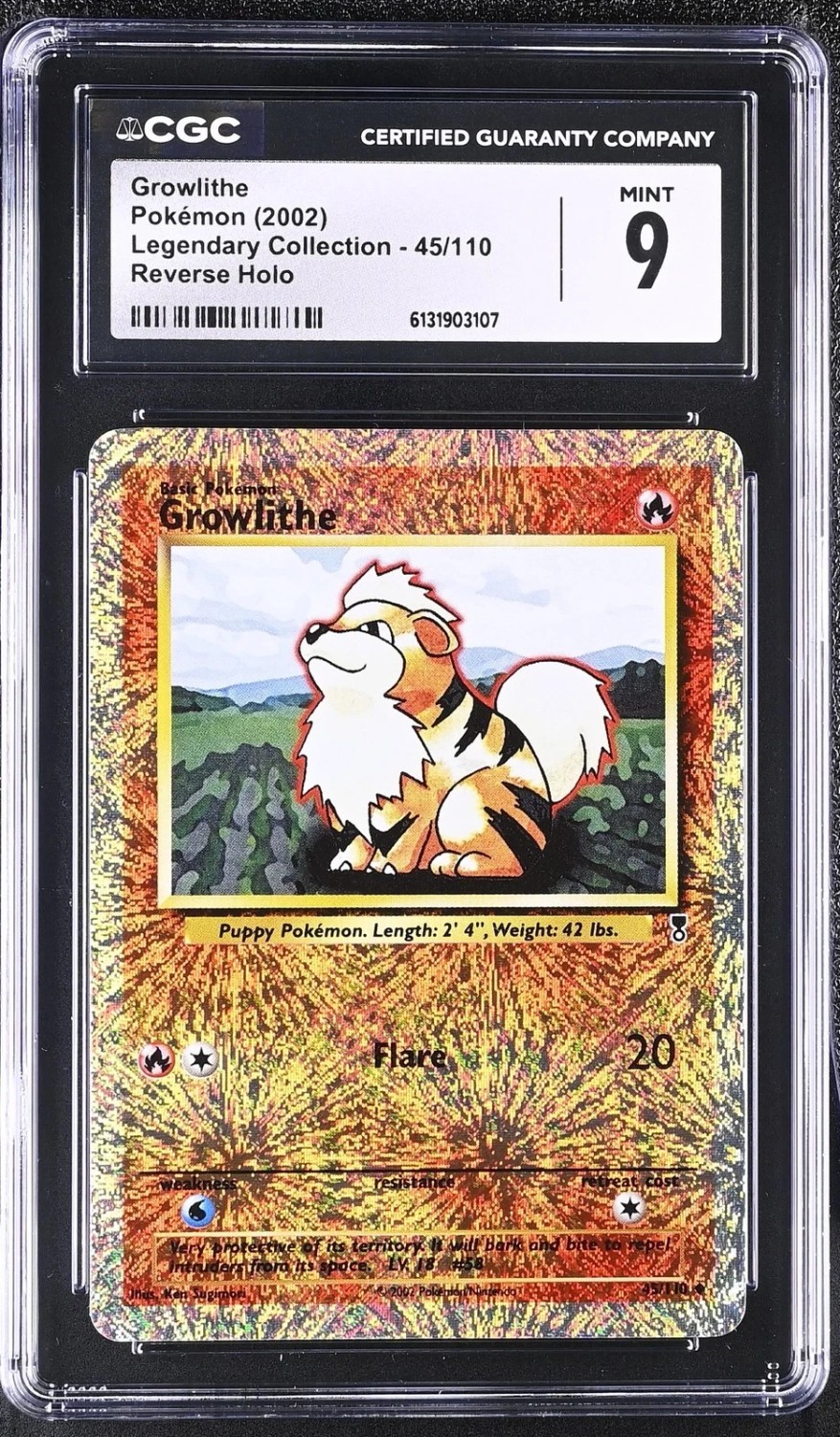 Reverse Holo