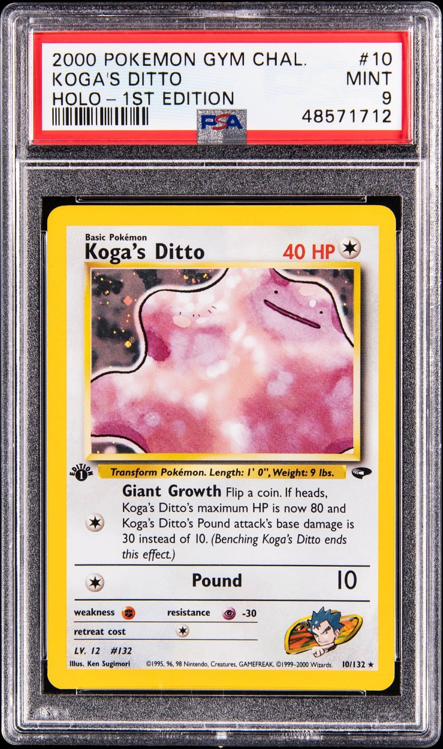 Koga's Ditto