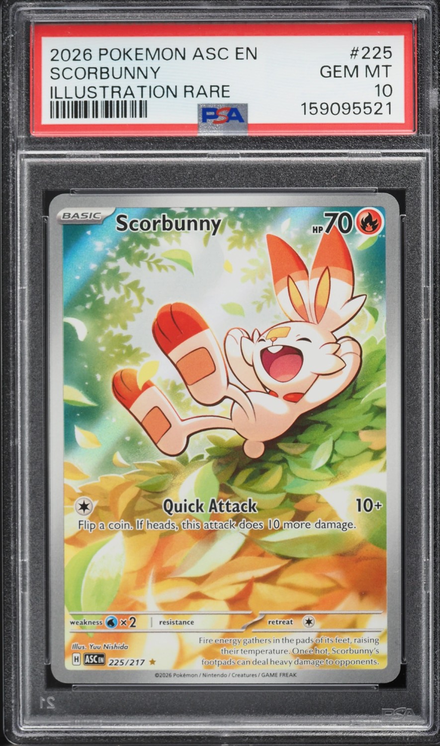 Scorbunny