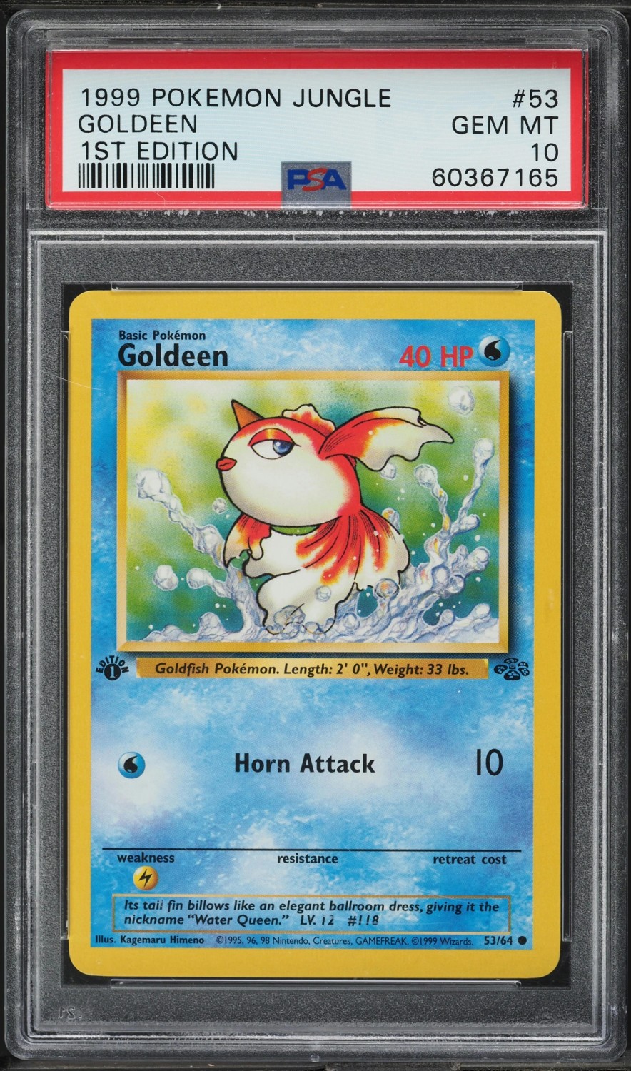 GOLDEEN