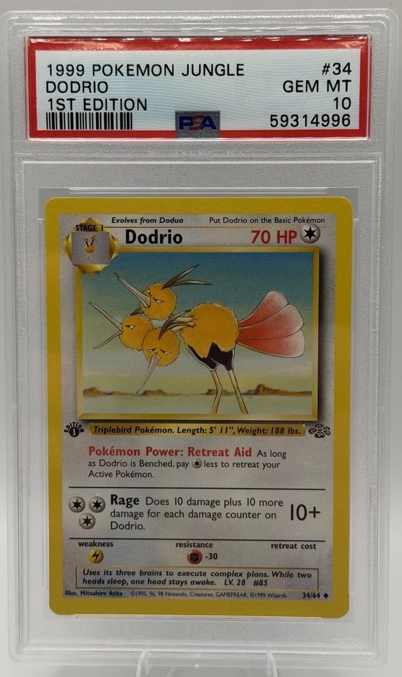 Dodrio