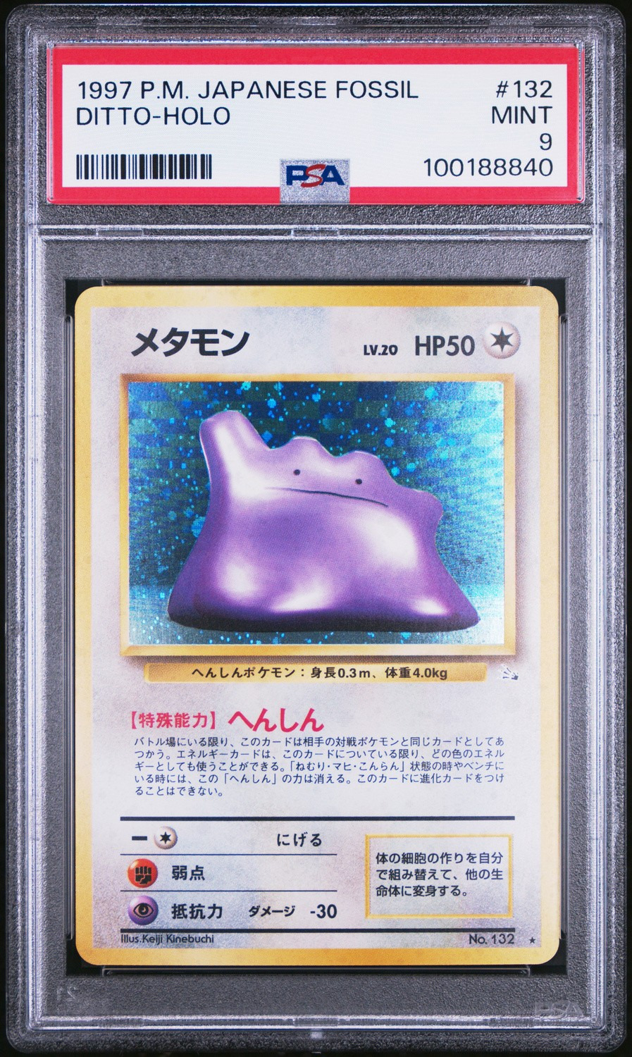 Ditto