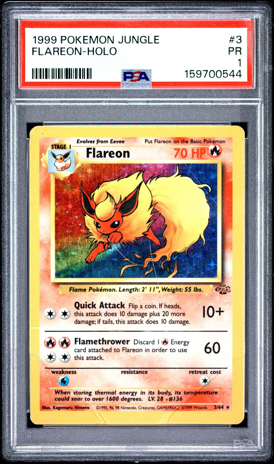 Holo