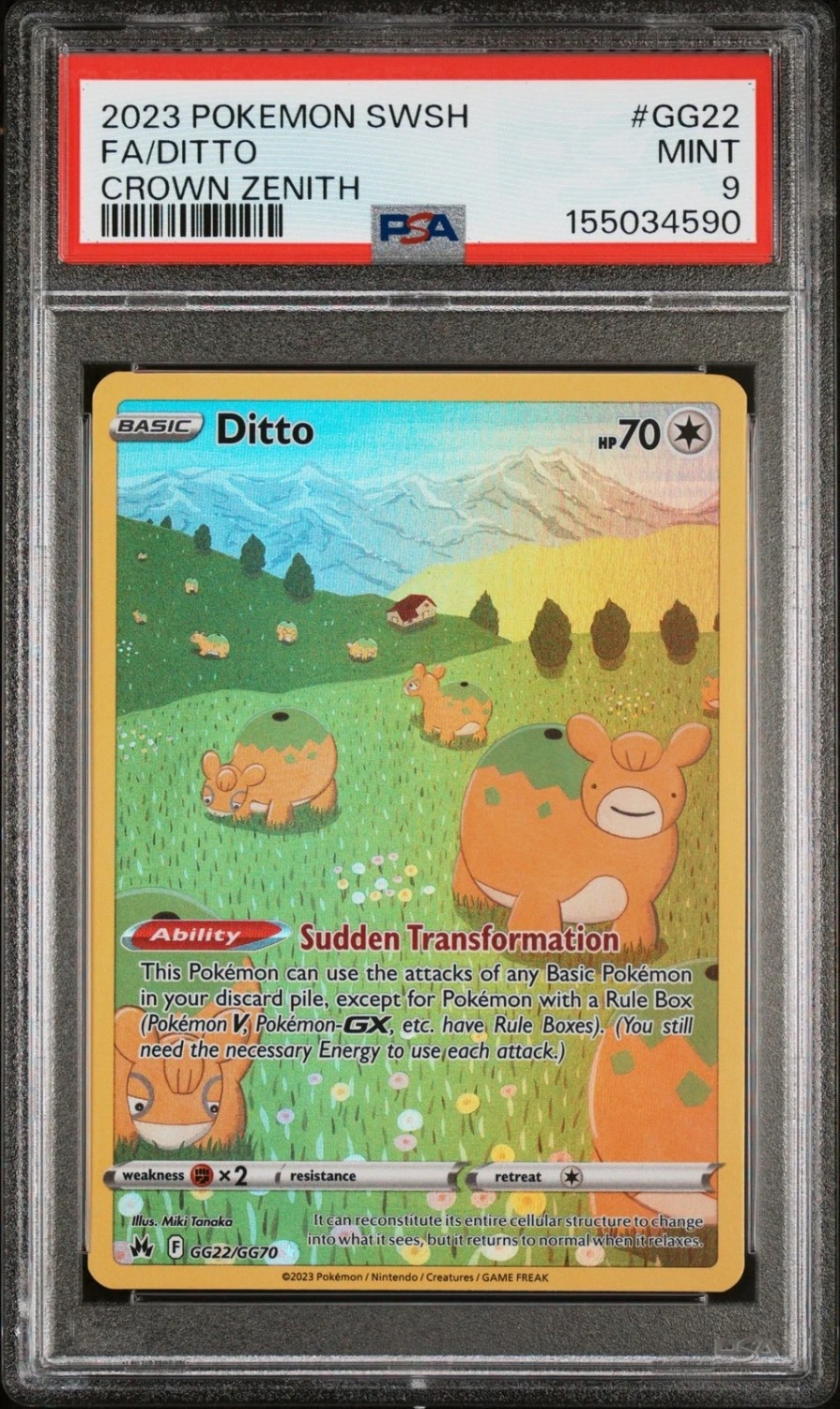 Ditto