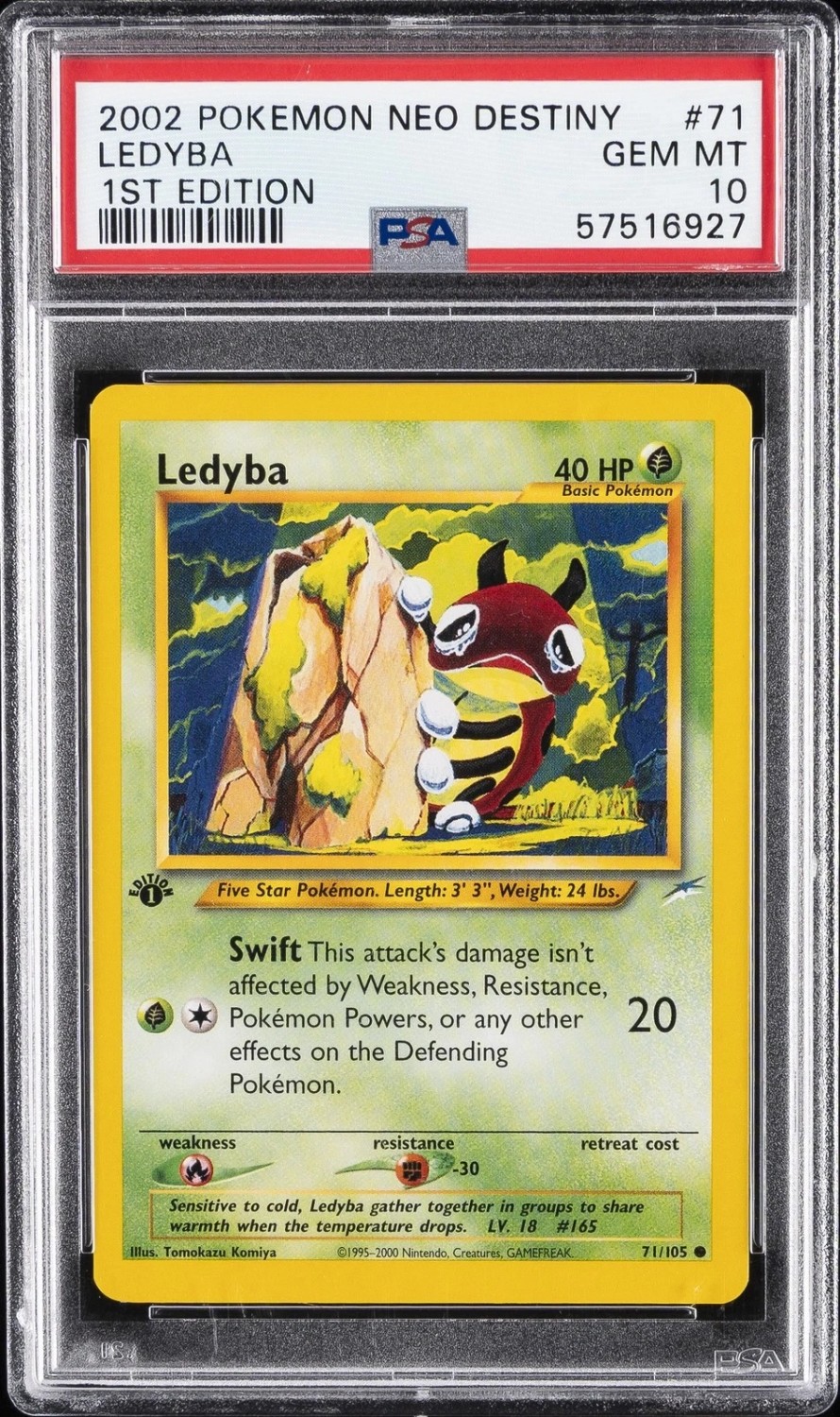 Ledyba