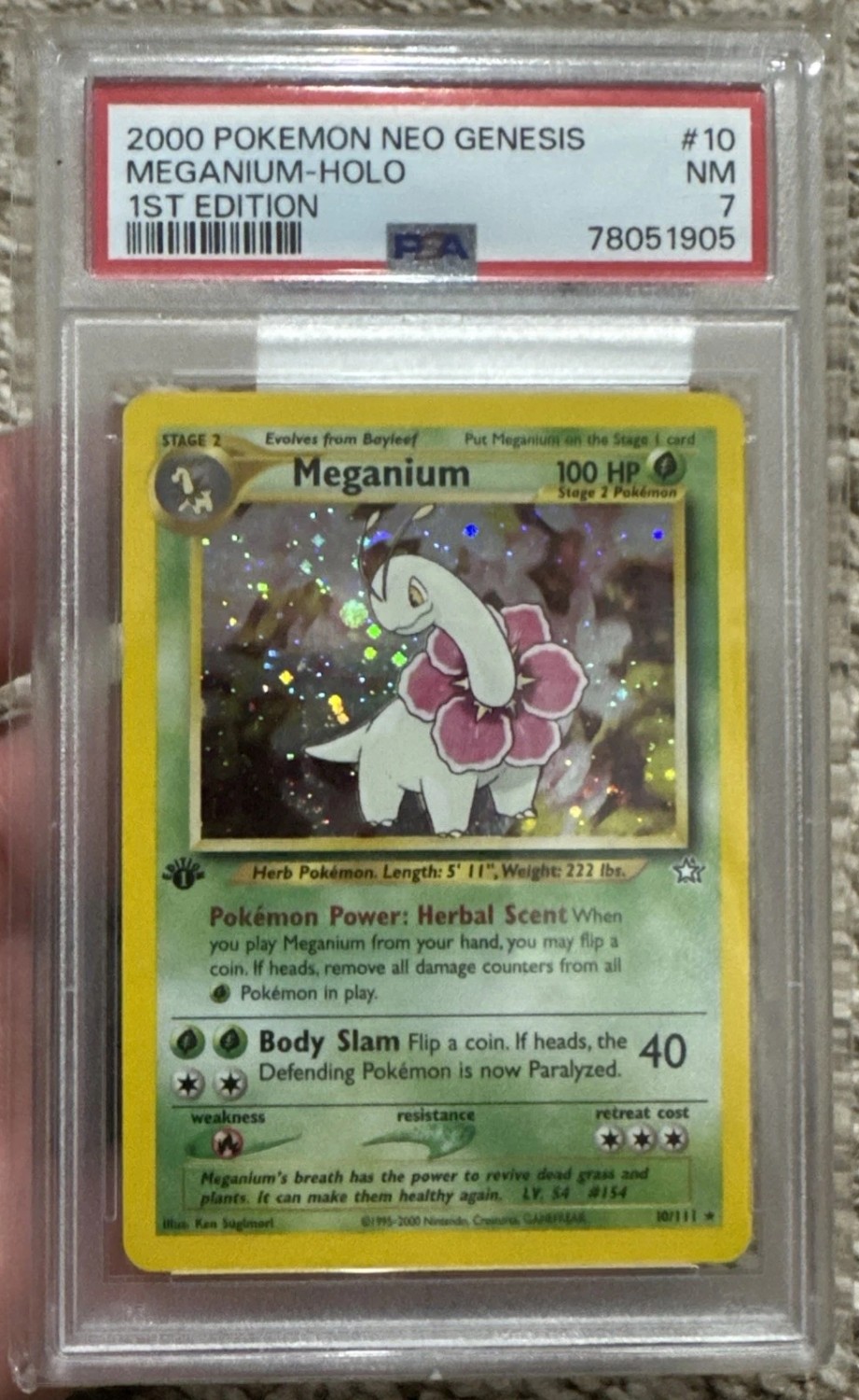 Meganium