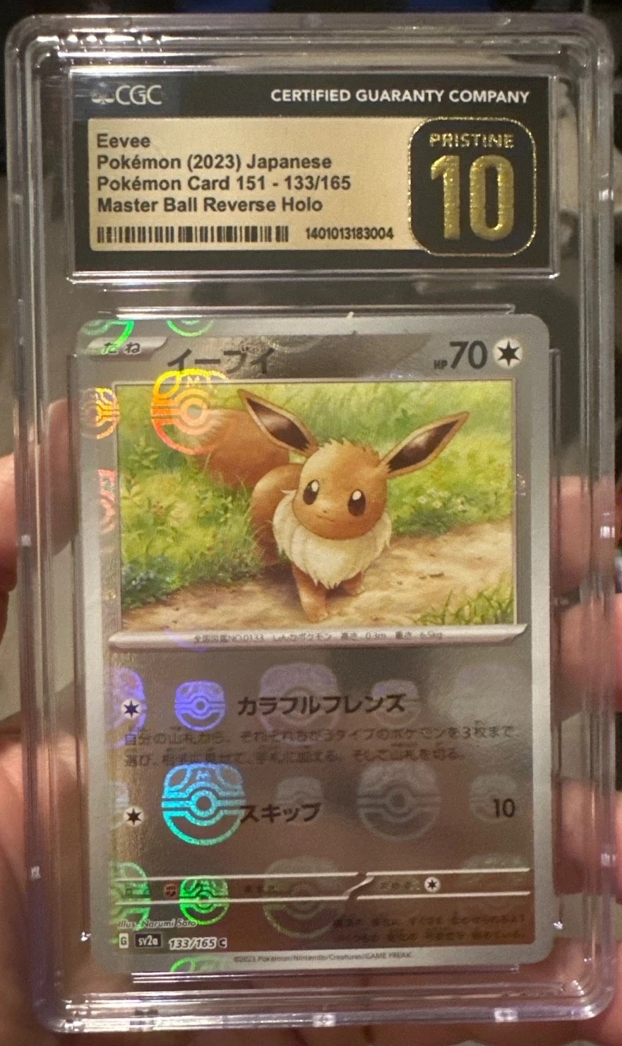 Master Ball · Reverse Holo