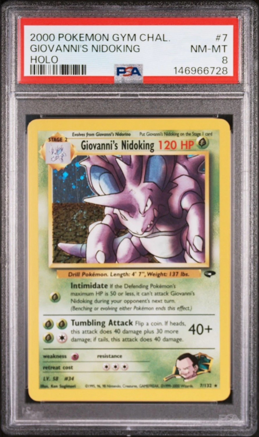 Giovanni's Nidoking