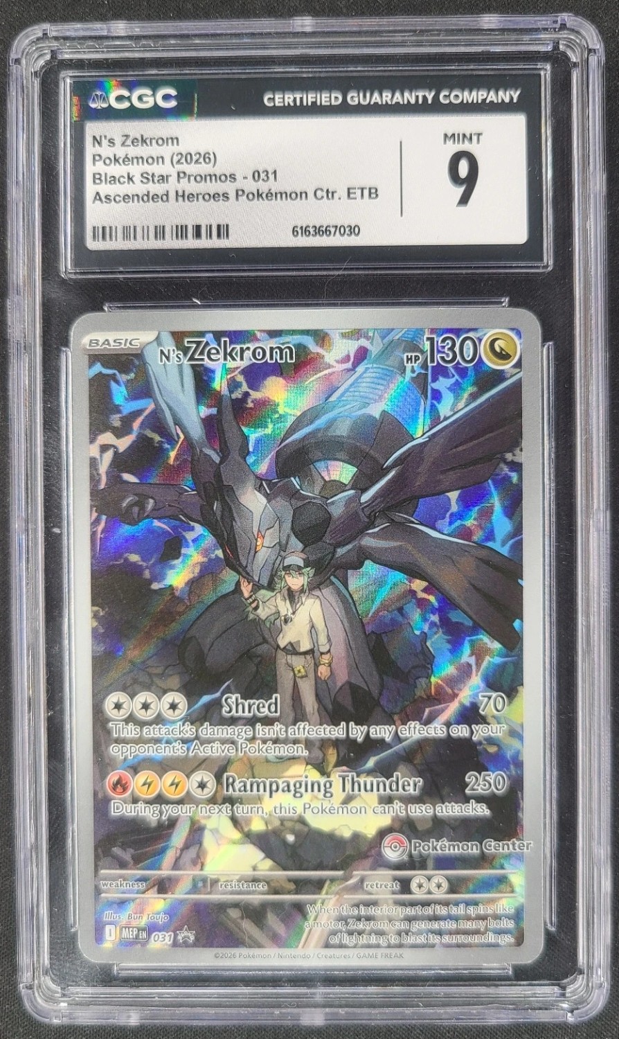 N'S ZEKROM