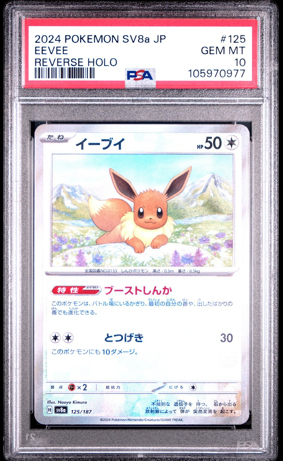 EEVEE