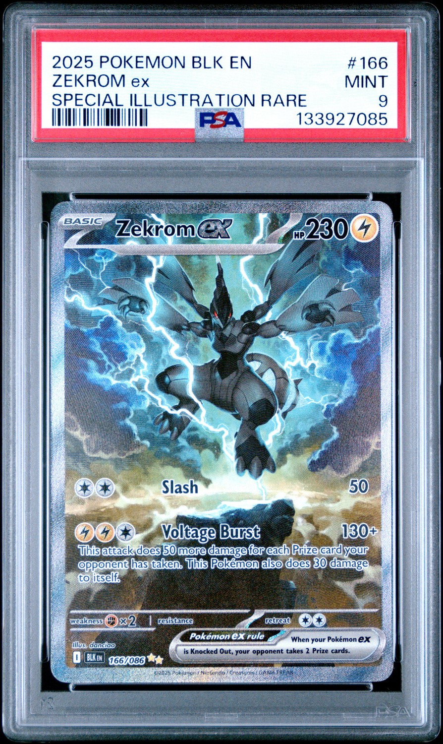 ZEKROM ex