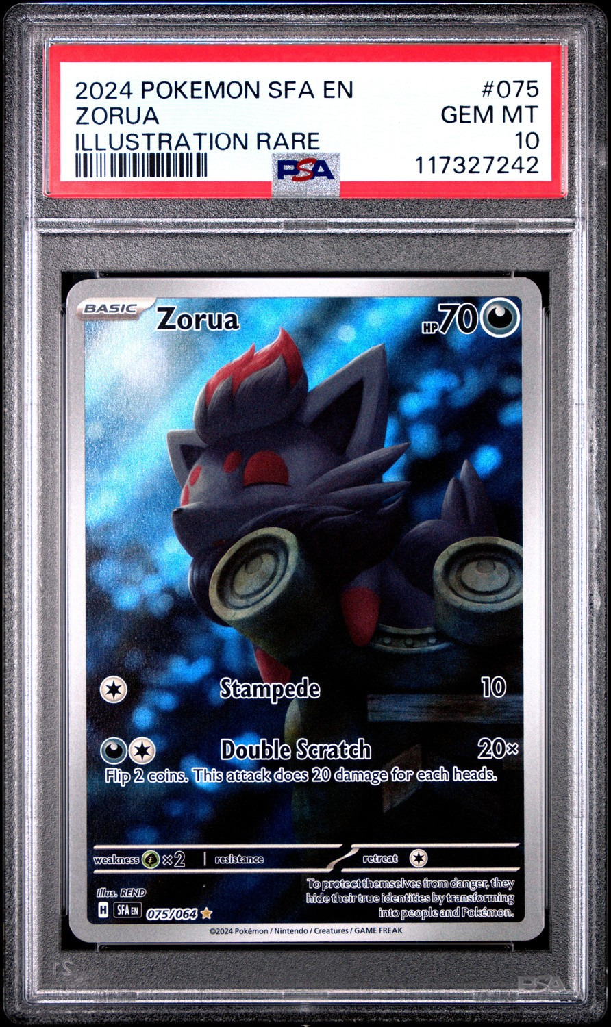 Zorua
