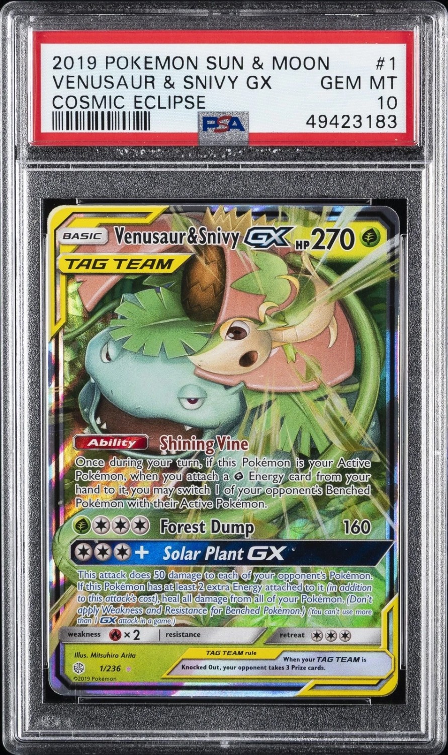 Venusaur & Snivy GX