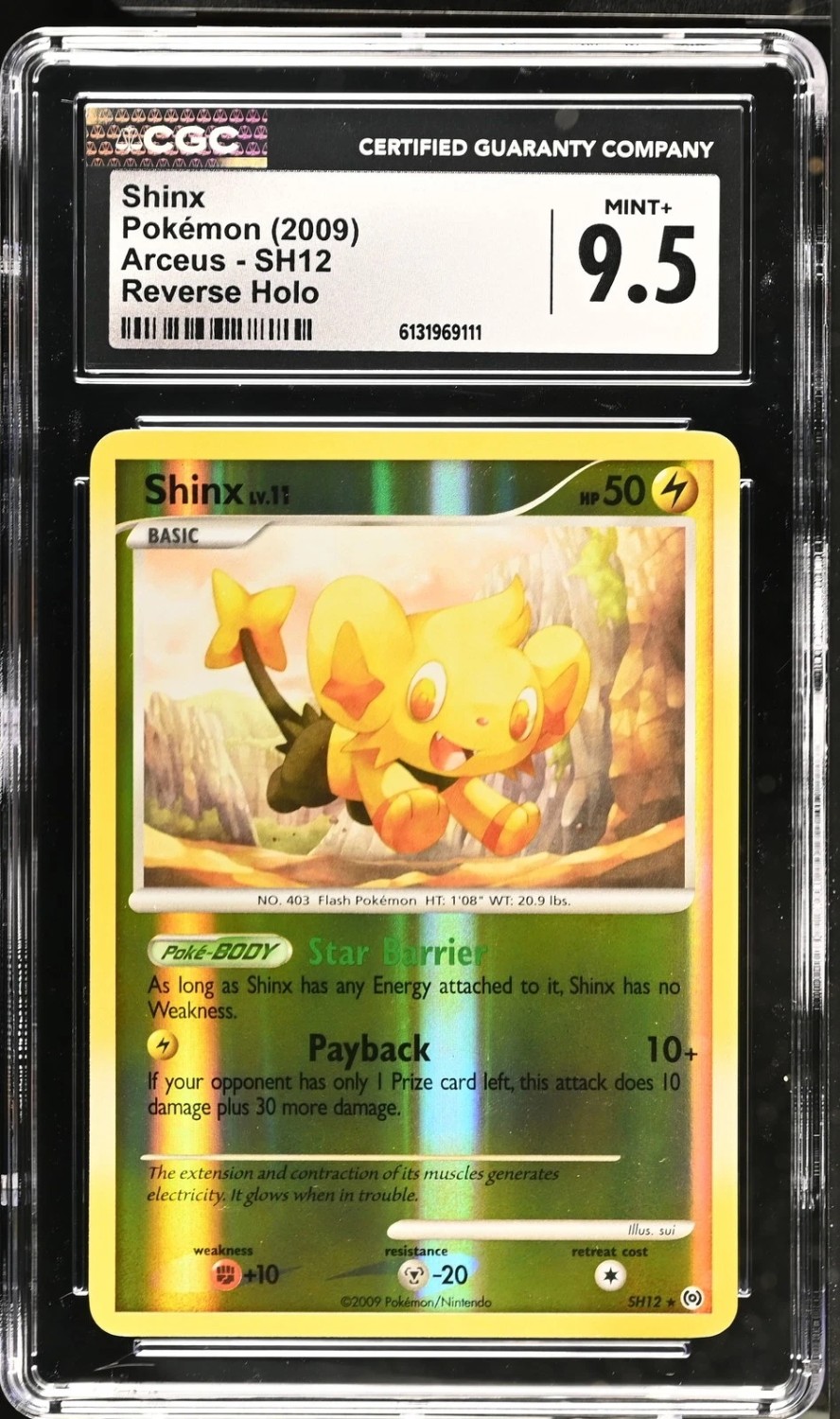 Shinx