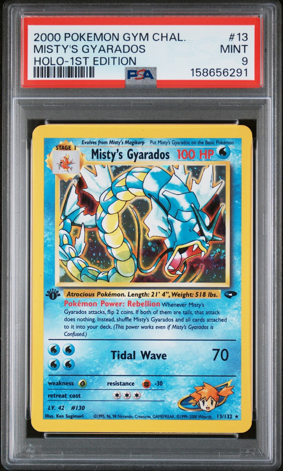 Misty's Gyarados
