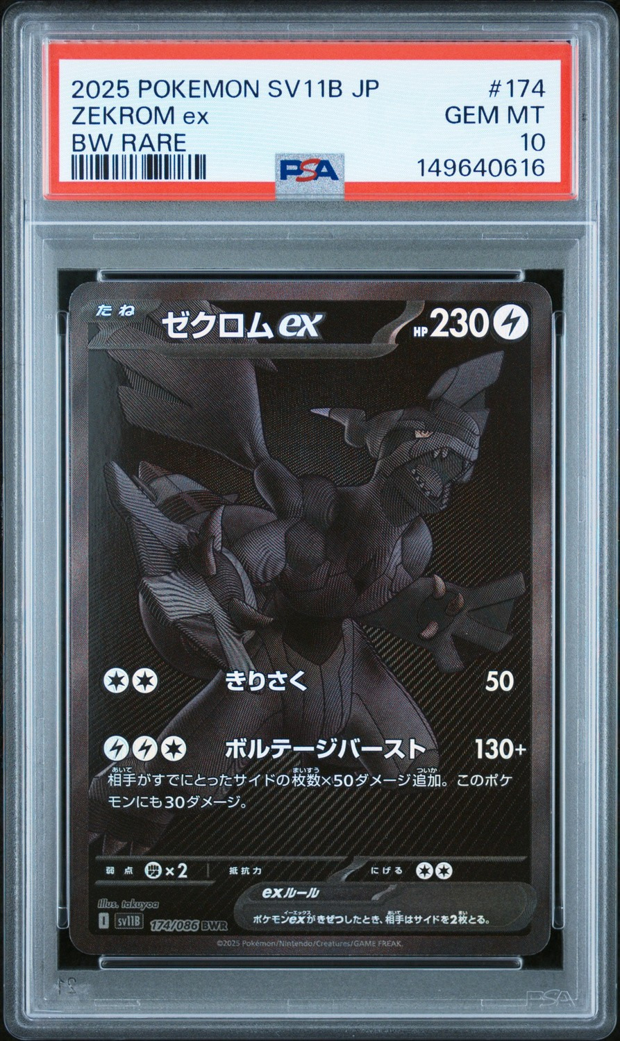 ZEKROM ex
