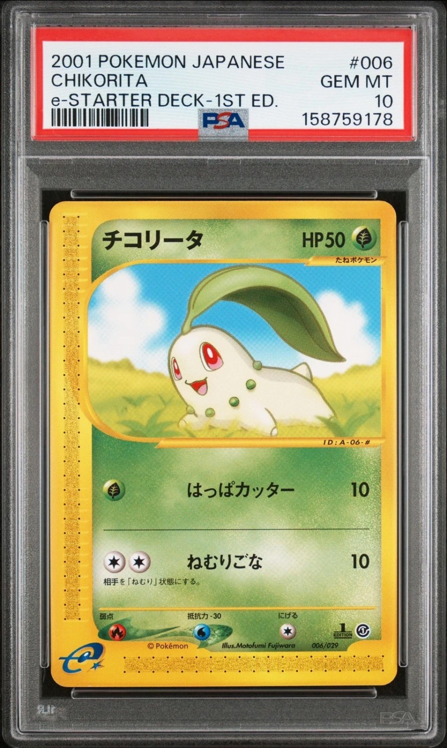 Chikorita
