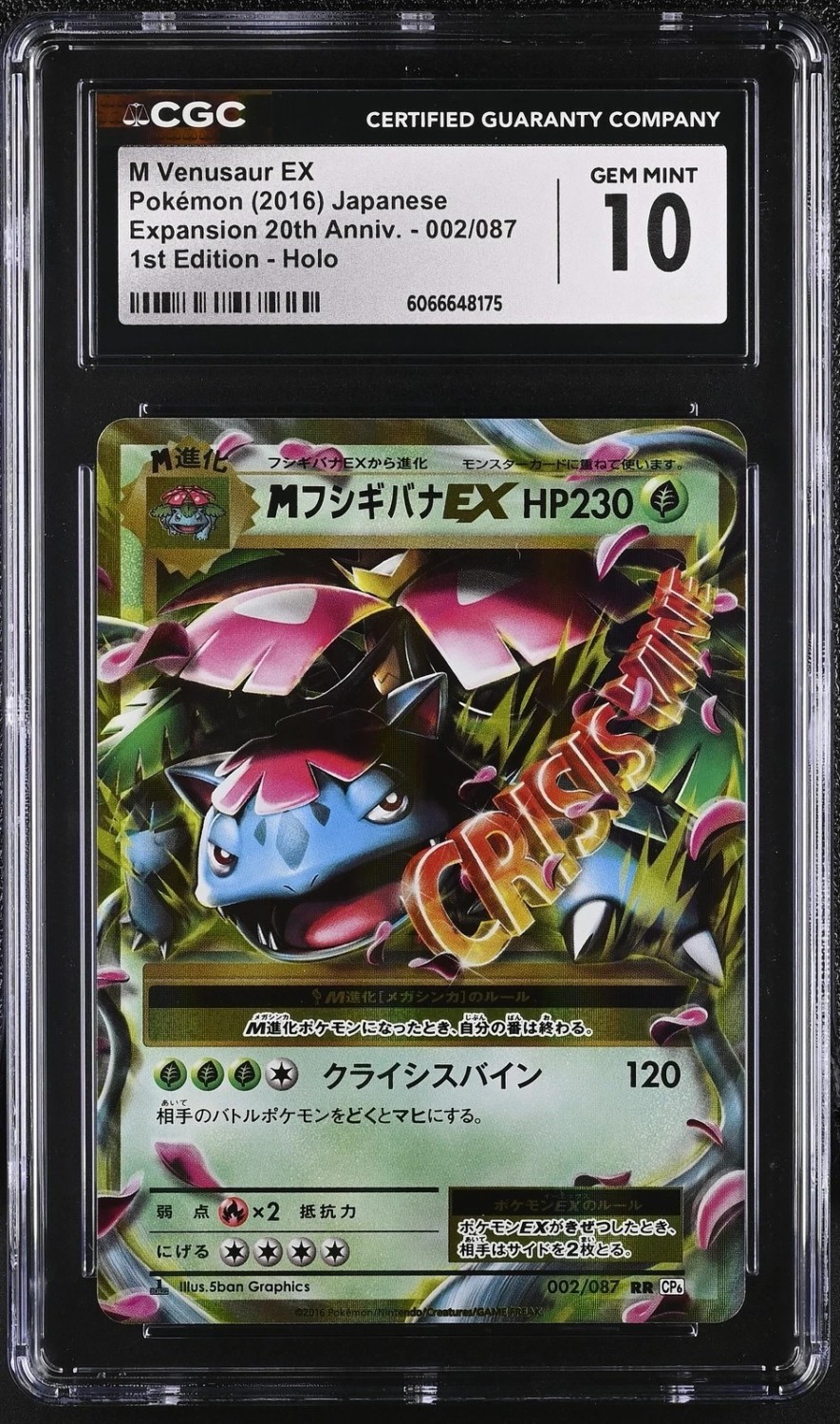M Venusaur EX